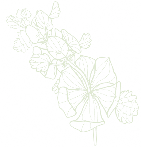 flower image